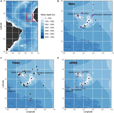 An Integrative Assessment Combining Deep-Sea Net Sampling, in situ Observations and Environmental DNA Analysis Identifies Cabo Verde as a Cephalopod Biodiversity Hotspot in the Atlantic Ocean